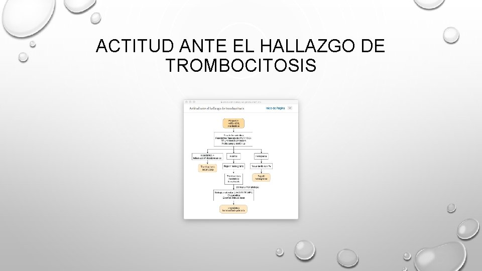 ACTITUD ANTE EL HALLAZGO DE TROMBOCITOSIS 