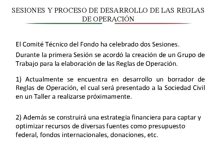 SESIONES Y PROCESO DE DESARROLLO DE LAS REGLAS DE OPERACIÓN El Comité Técnico del
