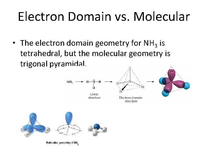 Electron Domain vs. Molecular • The electron domain geometry for NH 3 is tetrahedral,