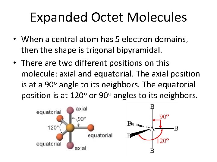 Expanded Octet Molecules • When a central atom has 5 electron domains, then the
