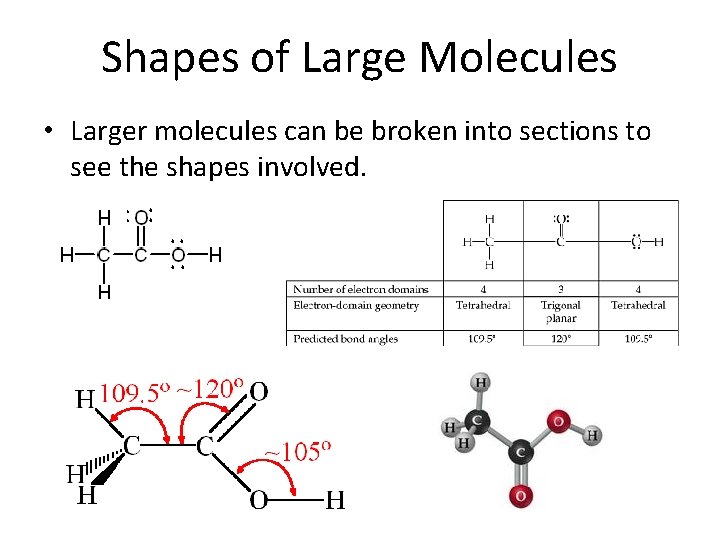 Shapes of Large Molecules • Larger molecules can be broken into sections to see