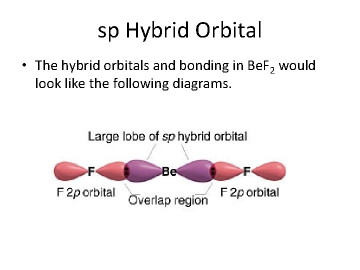 sp Hybrid Orbital • The hybrid orbitals and bonding in Be. F 2 would