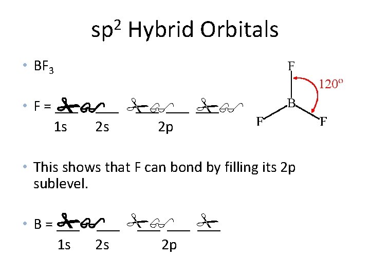 sp 2 Hybrid Orbitals • BF 3 • F = ___ ___ 1 s