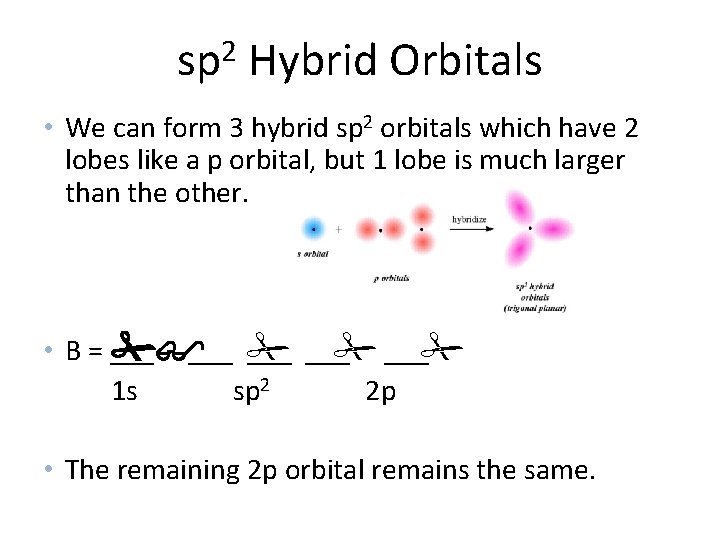 sp 2 Hybrid Orbitals • We can form 3 hybrid sp 2 orbitals which