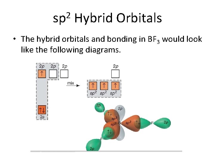 sp 2 Hybrid Orbitals • The hybrid orbitals and bonding in BF 3 would