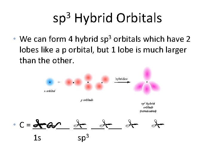 sp 3 Hybrid Orbitals • We can form 4 hybrid sp 3 orbitals which