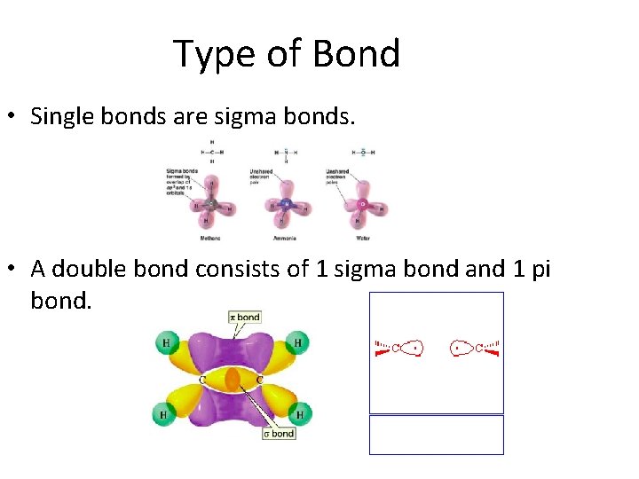 Type of Bond • Single bonds are sigma bonds. • A double bond consists