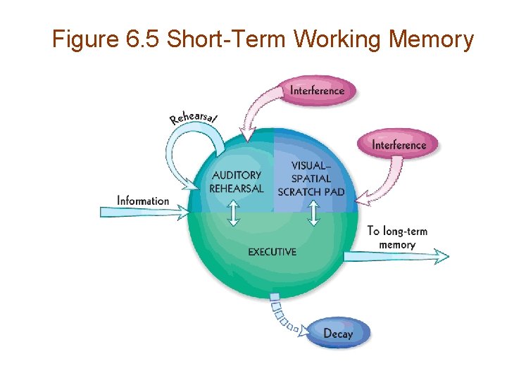 Figure 6. 5 Short-Term Working Memory 