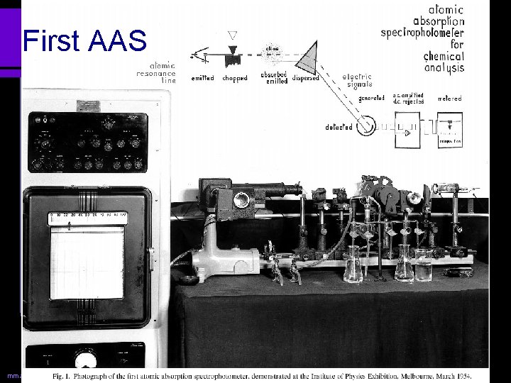 First AAS l Picture mmasykuri@yahoo. com from Walsh 1999. 7 