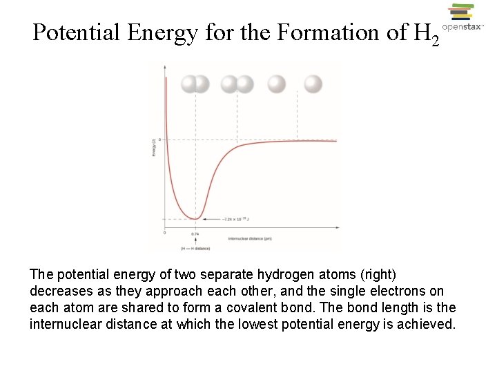 Potential Energy for the Formation of H 2 The potential energy of two separate