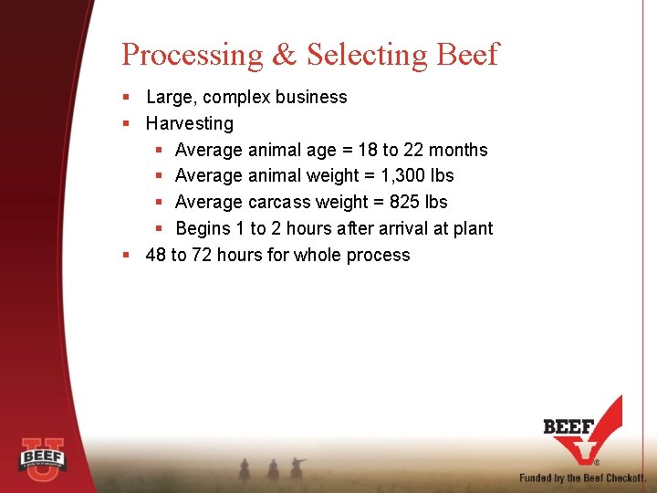 Processing & Selecting Beef § Large, complex business § Harvesting § Average animal age