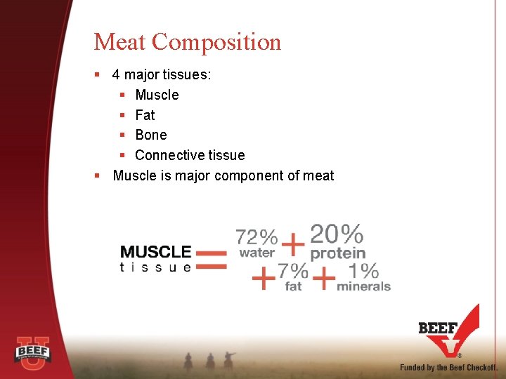Meat Composition § 4 major tissues: § Muscle § Fat § Bone § Connective