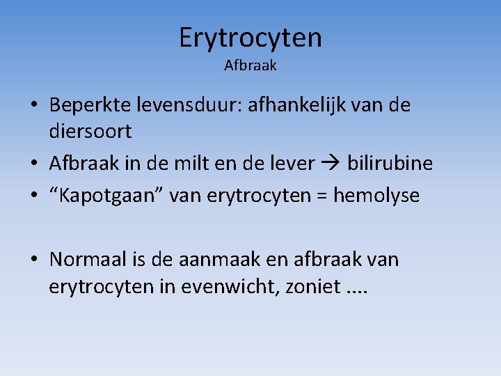 Erytrocyten Afbraak • Beperkte levensduur: afhankelijk van de diersoort • Afbraak in de milt