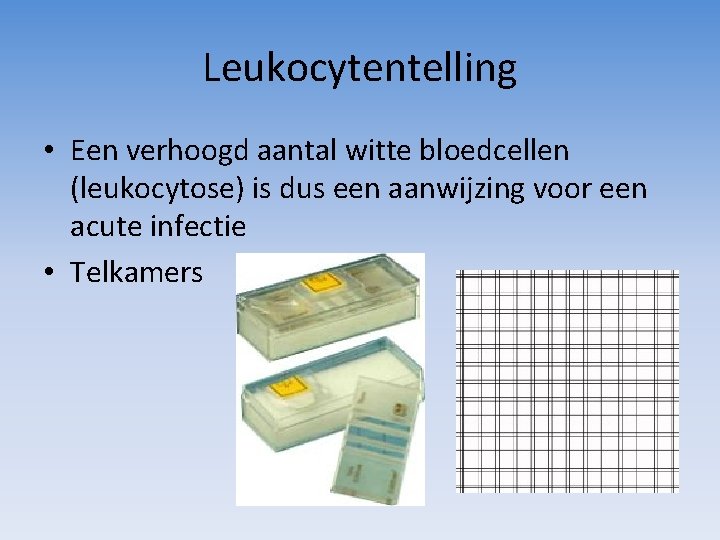 Leukocytentelling • Een verhoogd aantal witte bloedcellen (leukocytose) is dus een aanwijzing voor een
