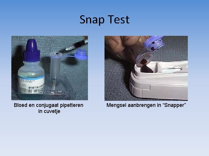 Snap Test Bloed en conjugaat pipetteren in cuvetje Mengsel aanbrengen in “Snapper” 