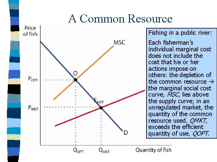 A Common Resource Fishing in a public river: Each fisherman’s individual marginal cost does