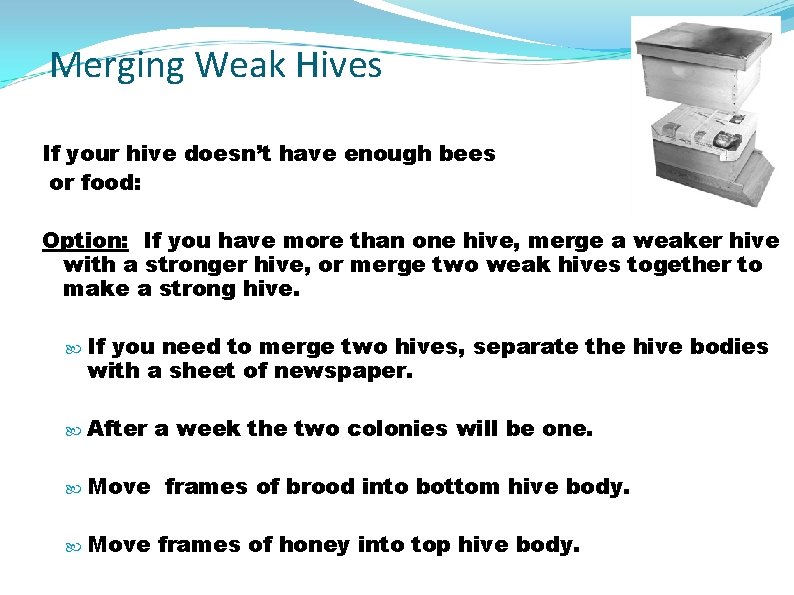 Merging Weak Hives If your hive doesn’t have enough bees or food: Option: If
