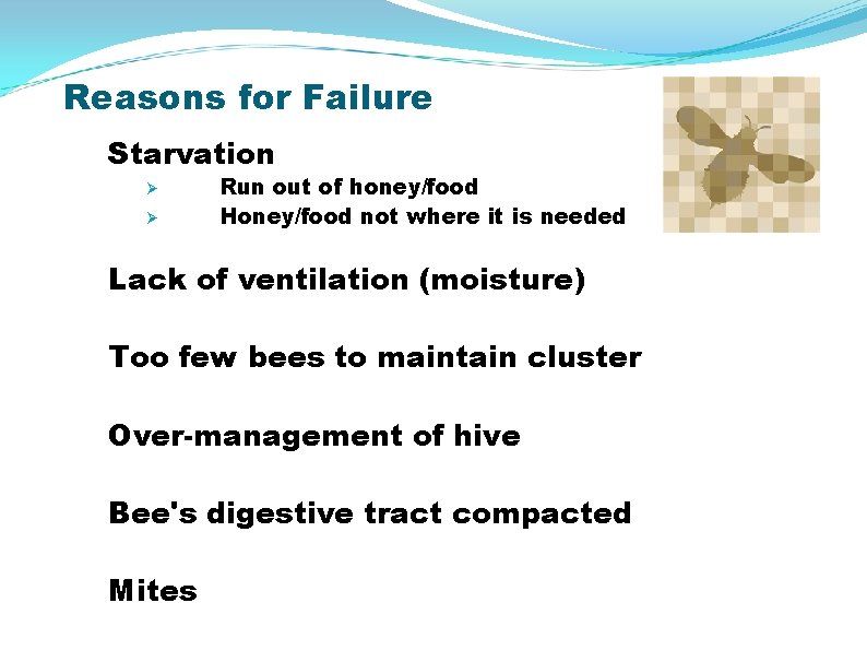 Reasons for Failure Starvation Ø Ø Run out of honey/food Honey/food not where it