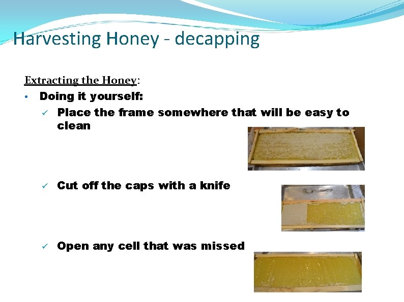 Harvesting Honey - decapping Extracting the Honey: • Doing it yourself: ü Place the
