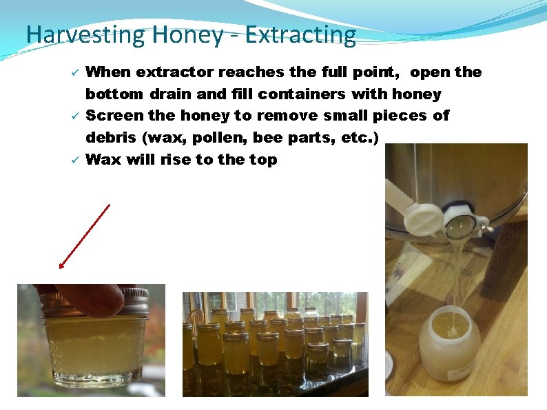 Harvesting Honey - Extracting ü ü ü When extractor reaches the full point, open