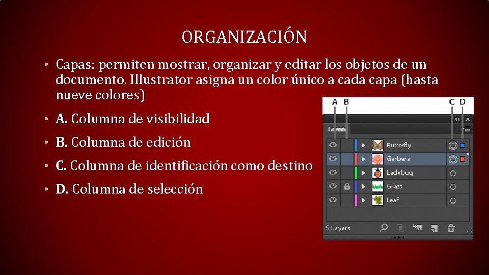 ORGANIZACIÓN • Capas: permiten mostrar, organizar y editar los objetos de un documento. Illustrator