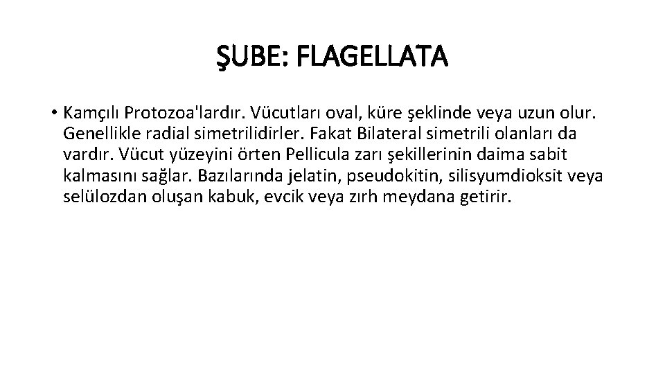 ŞUBE: FLAGELLATA • Kamçılı Protozoa'lardır. Vücutları oval, küre şeklinde veya uzun olur. Genellikle radial