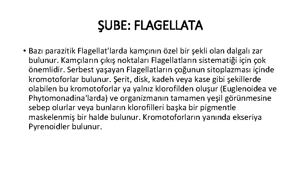 ŞUBE: FLAGELLATA • Bazı parazitik Flagellat'larda kamçının özel bir şekli olan dalgalı zar bulunur.
