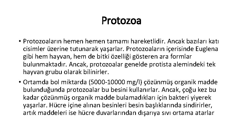 Protozoa • Protozoaların hemen tamamı hareketlidir. Ancak bazıları katı cisimler üzerine tutunarak yaşarlar. Protozoaların