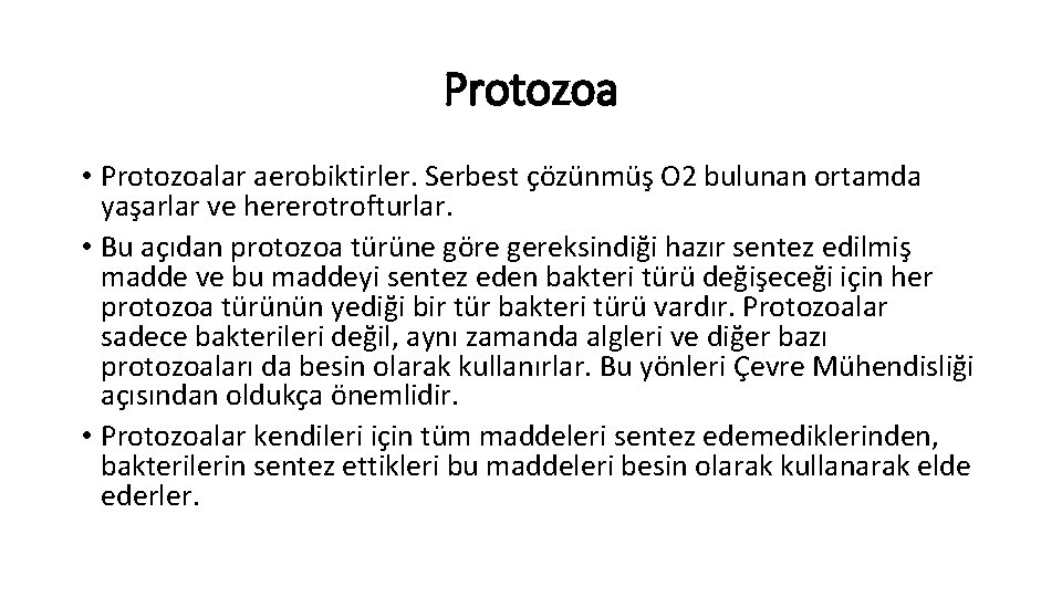 Protozoa • Protozoalar aerobiktirler. Serbest çözünmüş O 2 bulunan ortamda yaşarlar ve hererotrofturlar. •