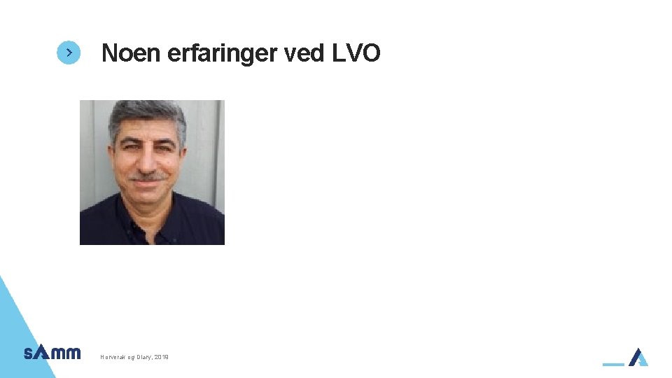 Noen erfaringer ved LVO Horverak og Diary, 2019 