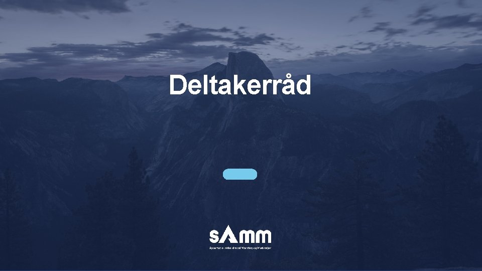 Deltakerråd 