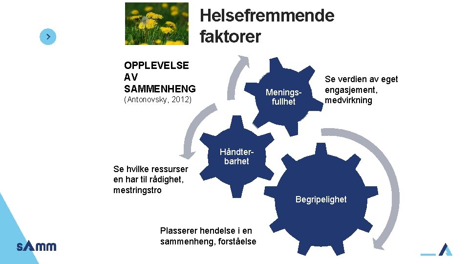 Helsefremmende faktorer OPPLEVELSE AV SAMMENHENG Meningsfullhet (Antonovsky, 2012) Se hvilke ressurser en har til