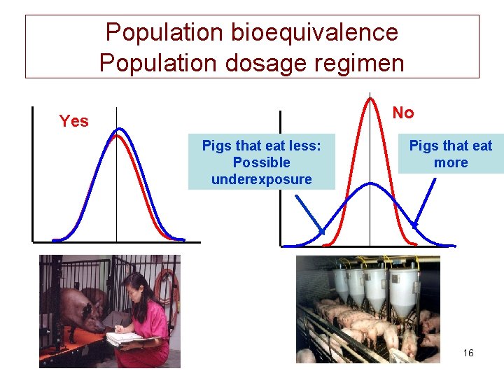 Population bioequivalence Population dosage regimen No Yes Pigs that eat less: Possible underexposure Pigs