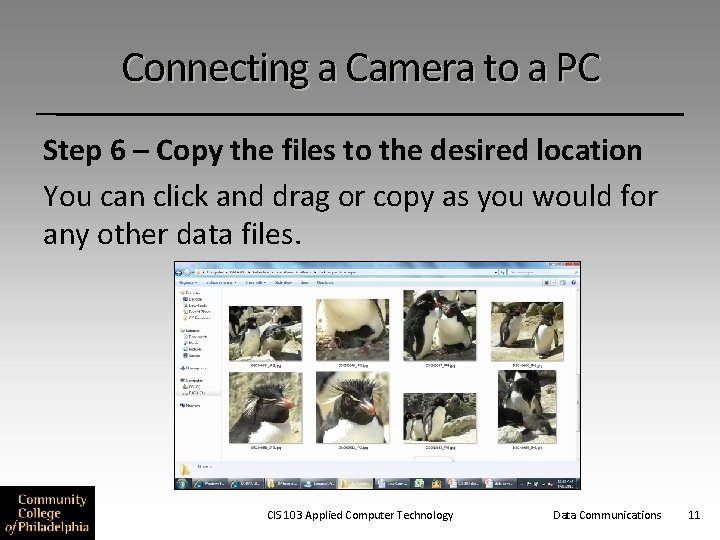 Connecting a Camera to a PC Step 6 – Copy the files to the