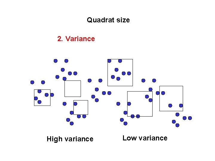 Quadrat size 2. Variance High variance Low variance 