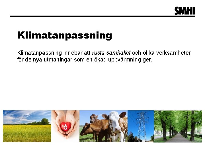 Klimatanpassning innebär att rusta samhället och olika verksamheter för de nya utmaningar som en