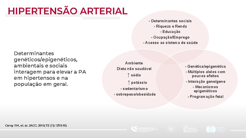 HIPERTENSÃO ARTERIAL - Determinantes sociais - Riqueza e Renda - Educação - Ocupação/Emprego -