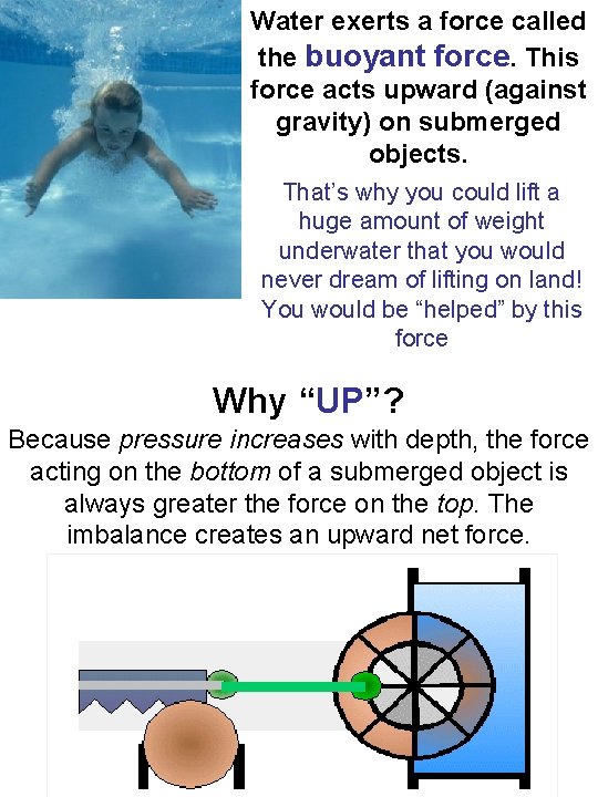 Water exerts a force called the buoyant force. This force acts upward (against gravity)