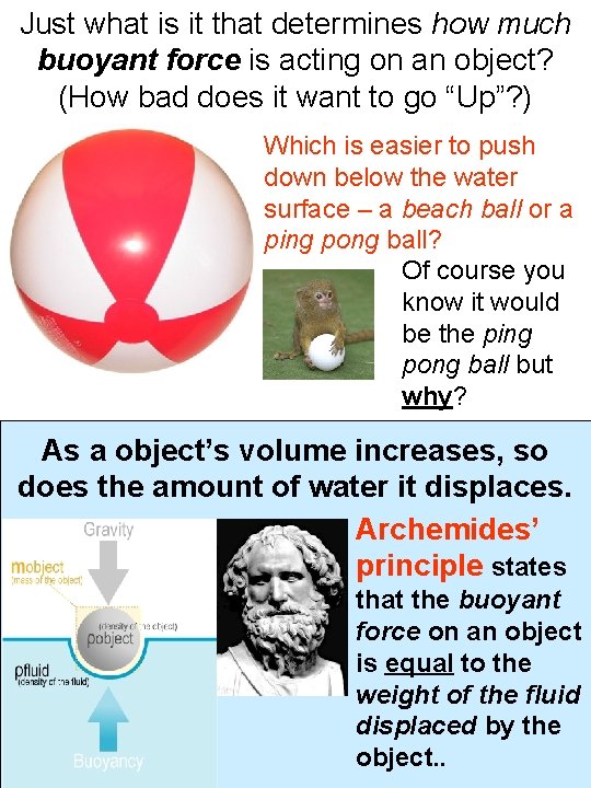 Just what is it that determines how much buoyant force is acting on an