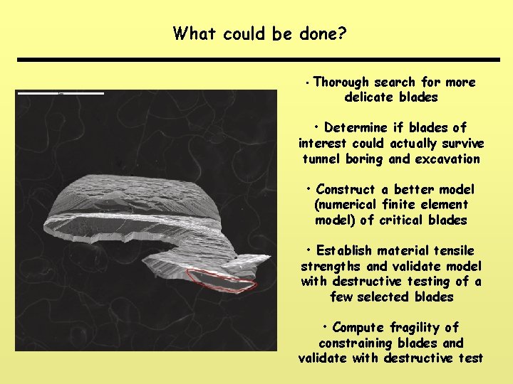 What could be done? • Thorough search for more delicate blades • Determine if