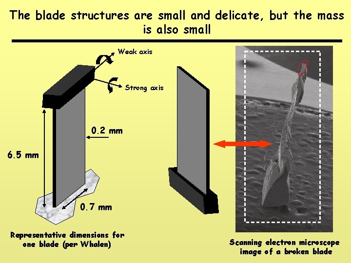 The blade structures are small and delicate, but the mass is also small Weak