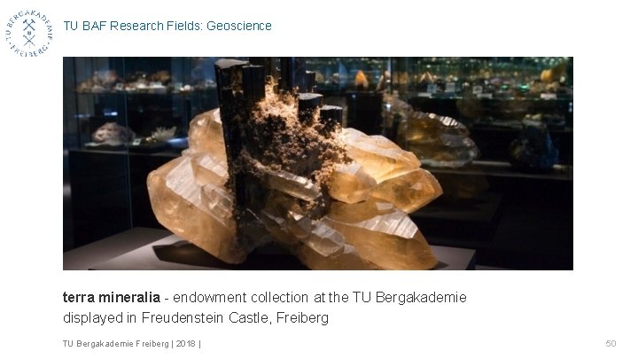 TU BAF Research Fields: Geoscience terra mineralia - endowment collection at the TU Bergakademie