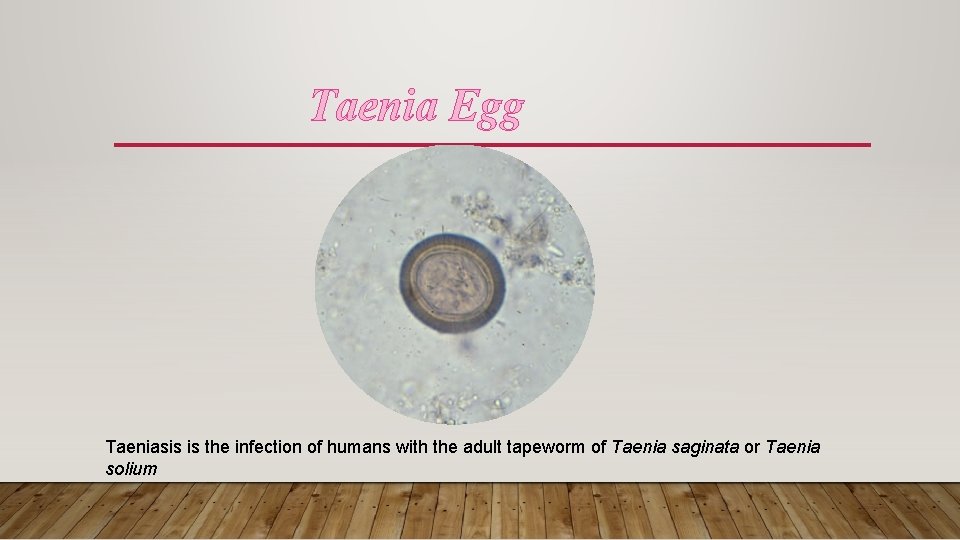 Taenia Egg Taeniasis is the infection of humans with the adult tapeworm of Taenia