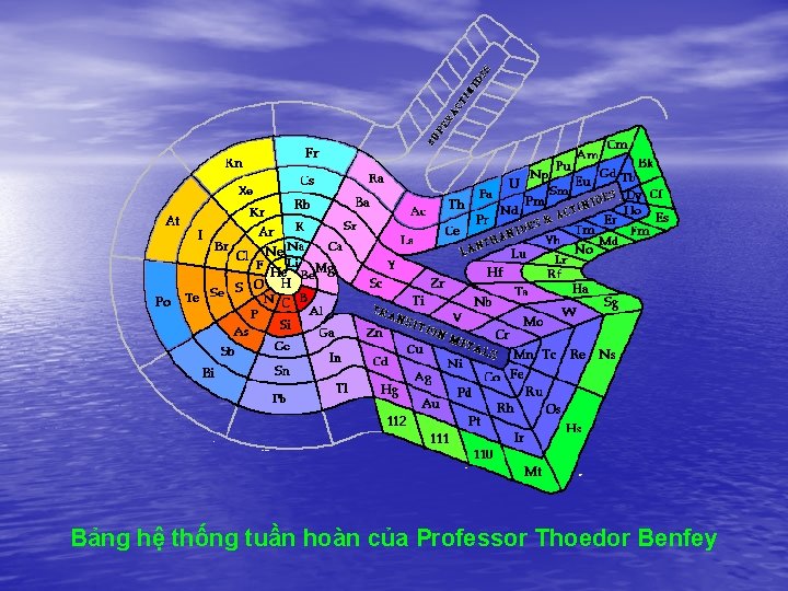 Bảng hệ thống tuần hoàn của Professor Thoedor Benfey 