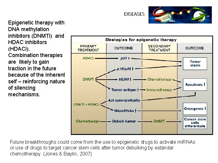 DISEASES Epigenetic therapy with DNA methylation inhibitors (DNMTi) and HDAC inhibitors (HDACi). Combination therapies