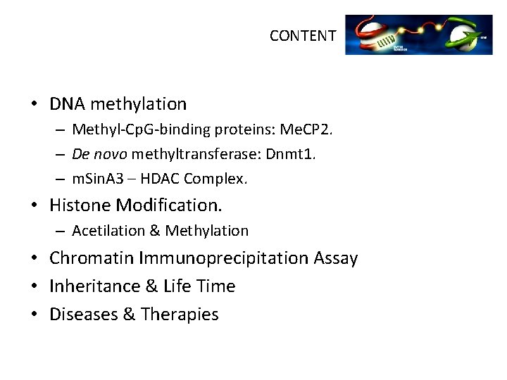 CONTENT • DNA methylation – Methyl-Cp. G-binding proteins: Me. CP 2. – De novo