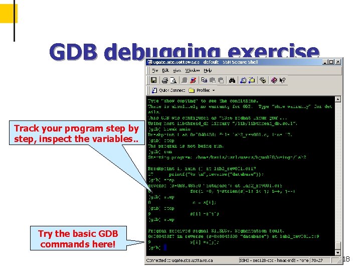 GDB debugging exercise Track your program step by step, inspect the variables. . Try