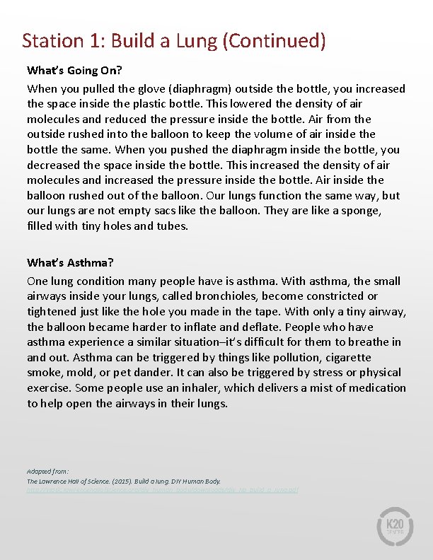 Station 1: Build a Lung (Continued) What’s Going On? When you pulled the glove