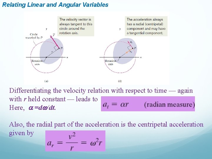 Relating Linear and Angular Variables Differentiating the velocity relation with respect to time —