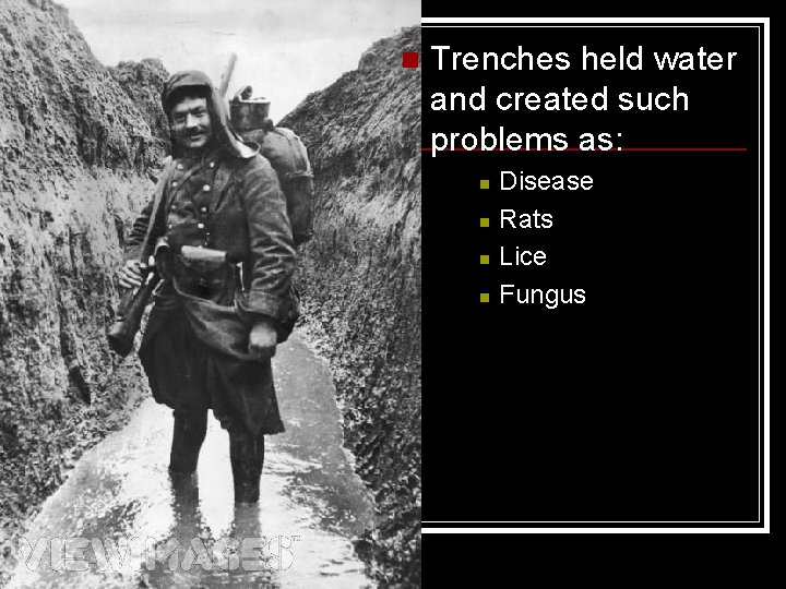 n Trenches held water and created such problems as: n n Disease Rats Lice